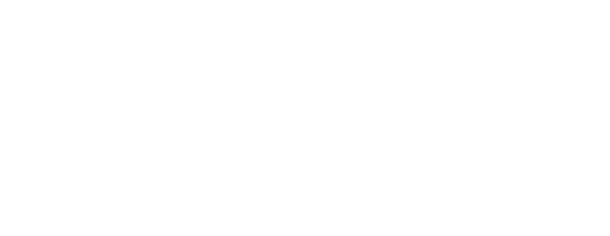 Projjex